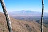 tucsonmtns2321