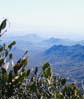 tucsonmtns2334