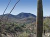 tucsonmts2316