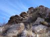 rocks2363