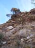 rocks2369