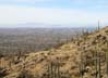 view2354