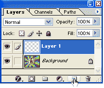 new layer