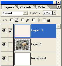 matting layer