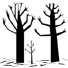 Little tree family