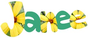 J n and e filled with the yellow flower image