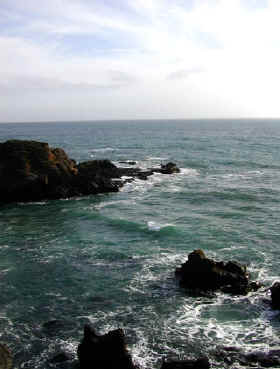 Ocean view off the coast of San Simeon California. I will use this photo for the reflection in the bunny's glasses.